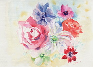 �o�i������i