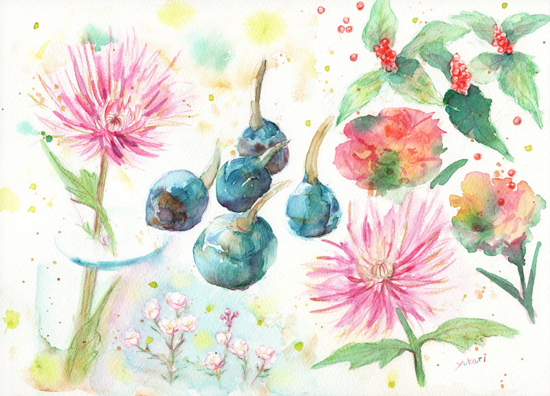 �o�i������i