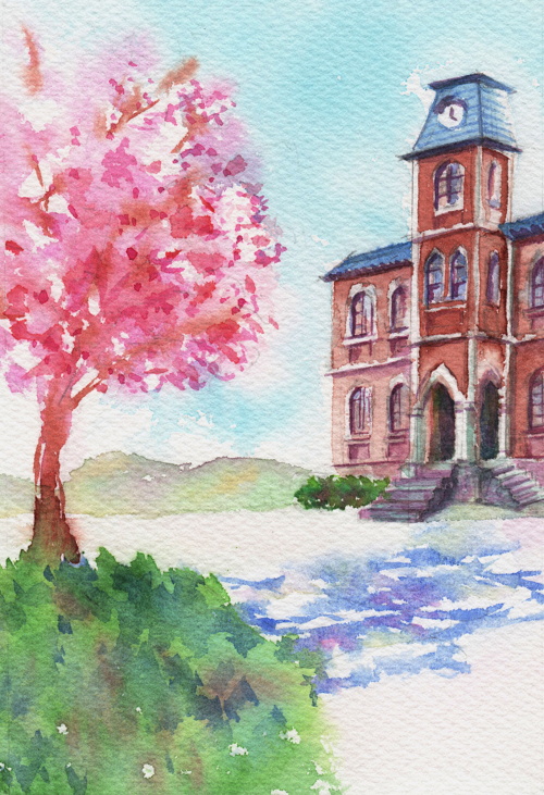 �͔�����