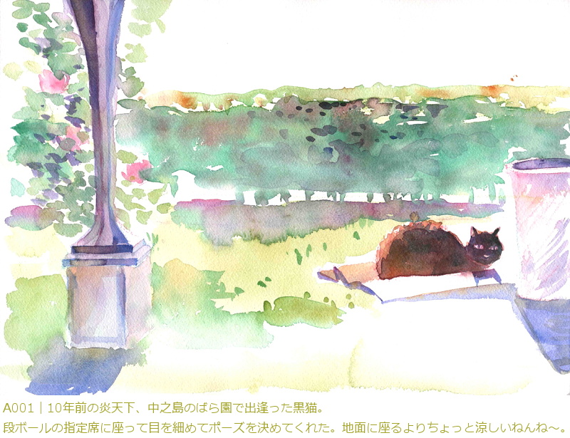 A001�b10�N�O�̉��V���A���V���̂΂牀�ŏo���������L�B�i�{�[���̎w��Ȃɍ����Ėڂ��ׂ߂ă|�[�Y�����߂Ă��ꂽ�B�n�ʂɍ����肿����Ɨ������˂�ˁ`�B