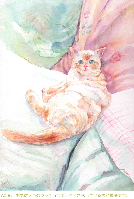 A006�b���C�ɓ���̃N�b�V�����ŁA�������炵�Ă���̂���ł��B