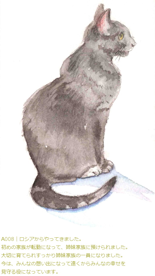 A008�b���V�A�������Ă��܂����B���߂̉Ƒ����]�΂ɂȂ��āA�o���Ƒ��ɗa�����܂����B��؂Ɉ�Ă�ꂷ������o���Ƒ��̈���ɂȂ�܂����B���́A�݂�Ȃ̑z���o�ɂȂ��ĉ�������݂�Ȃ̍K�����������ɂȂ��Ă��܂��B